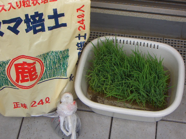 c0146637_21251764.jpg
