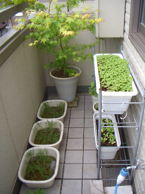 c0146637_21261847.jpg