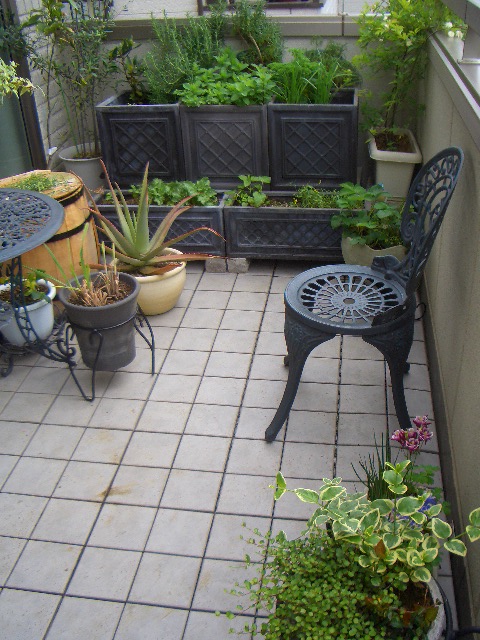 c0146637_21263793.jpg