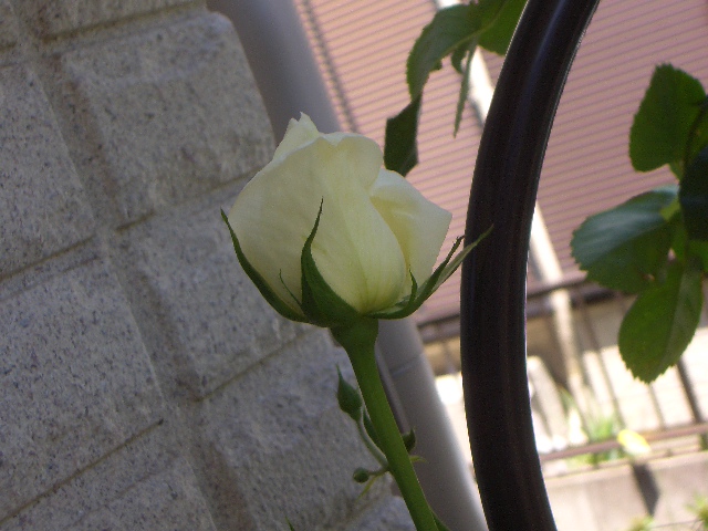 c0146637_21271713.jpg