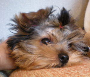 b0001440_16133379.jpg