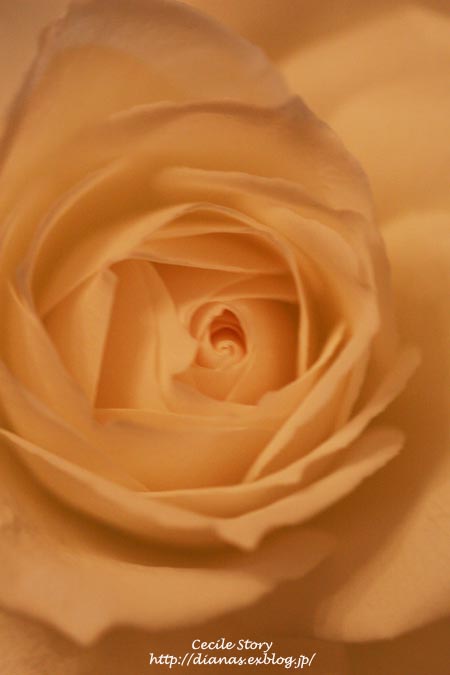 a0076043_12551310.jpg