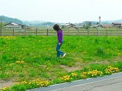 a0106043_1750692.jpg