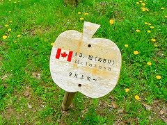 a0106043_2042947.jpg