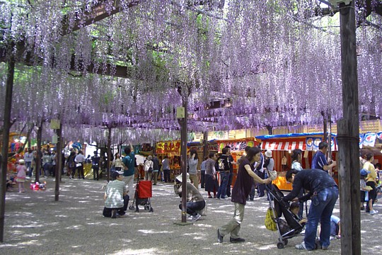 b0016043_23332925.jpg