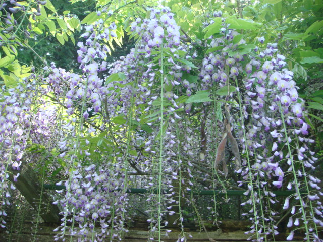 b0097645_21302497.jpg