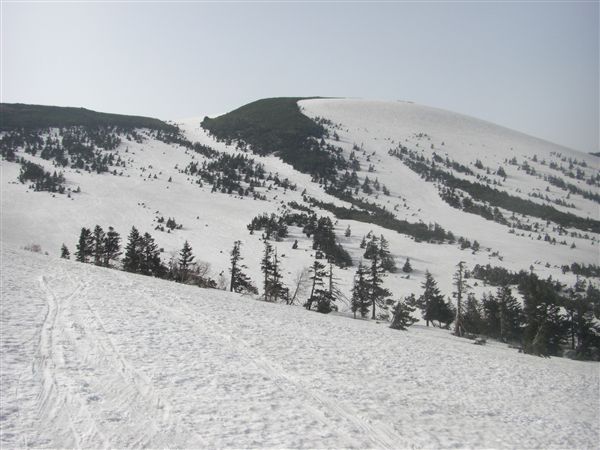 c0081645_083145.jpg
