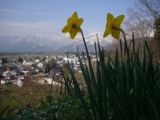 c0122445_10518100.jpg