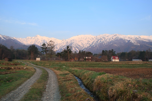 c0122445_1065632.jpg