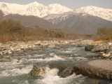 c0122445_106686.jpg