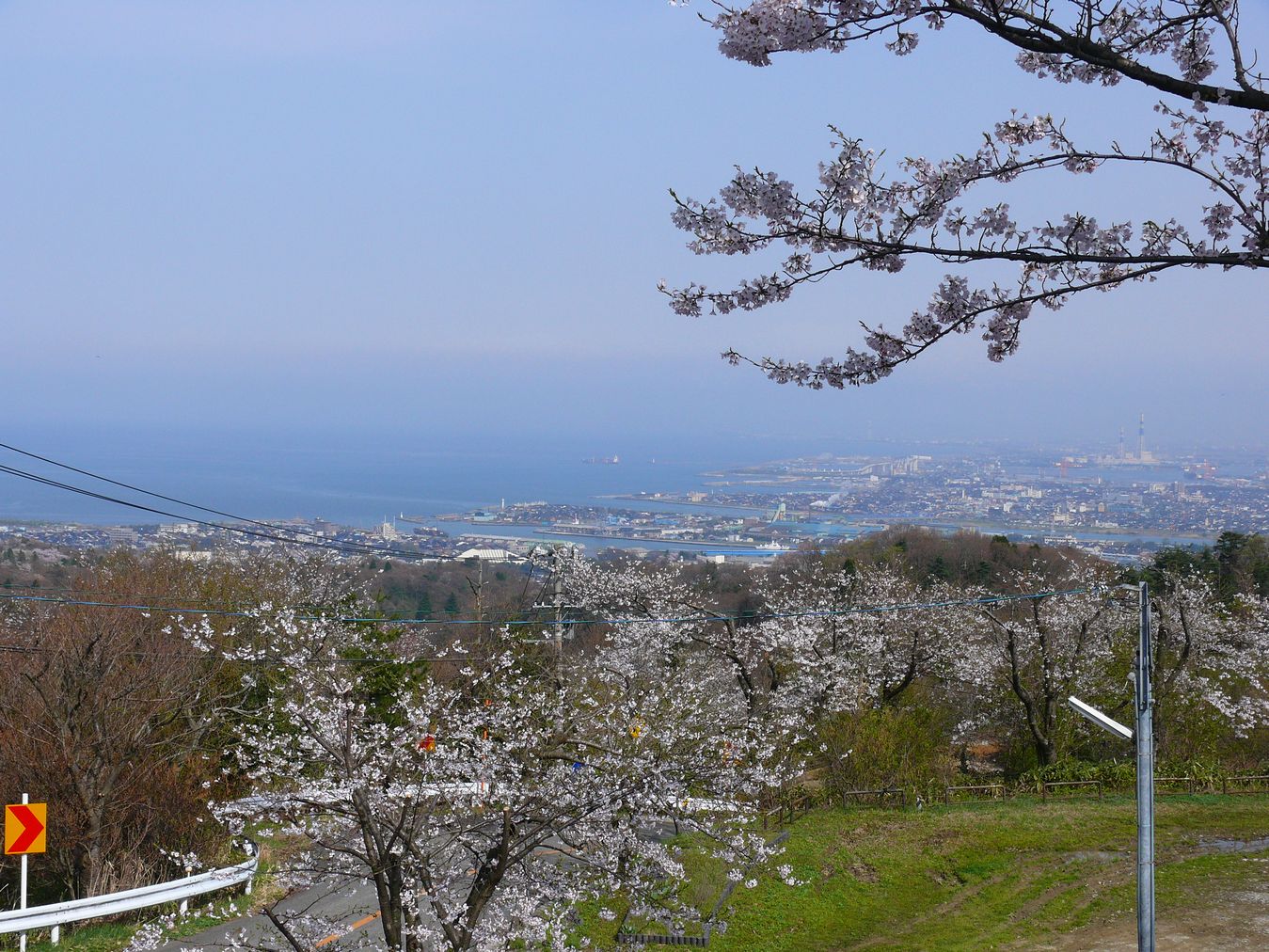 c0026846_186065.jpg