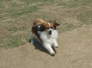 e0100046_18472388.jpg