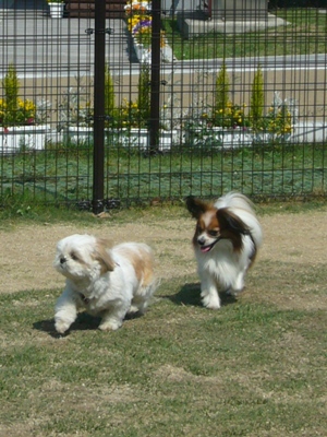 e0100046_18492532.jpg