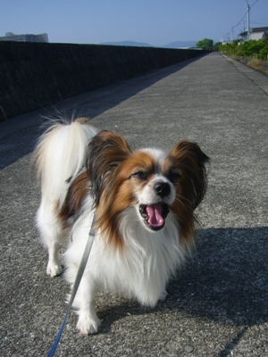 e0100046_1852177.jpg
