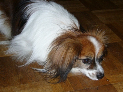 e0100046_1924953.jpg