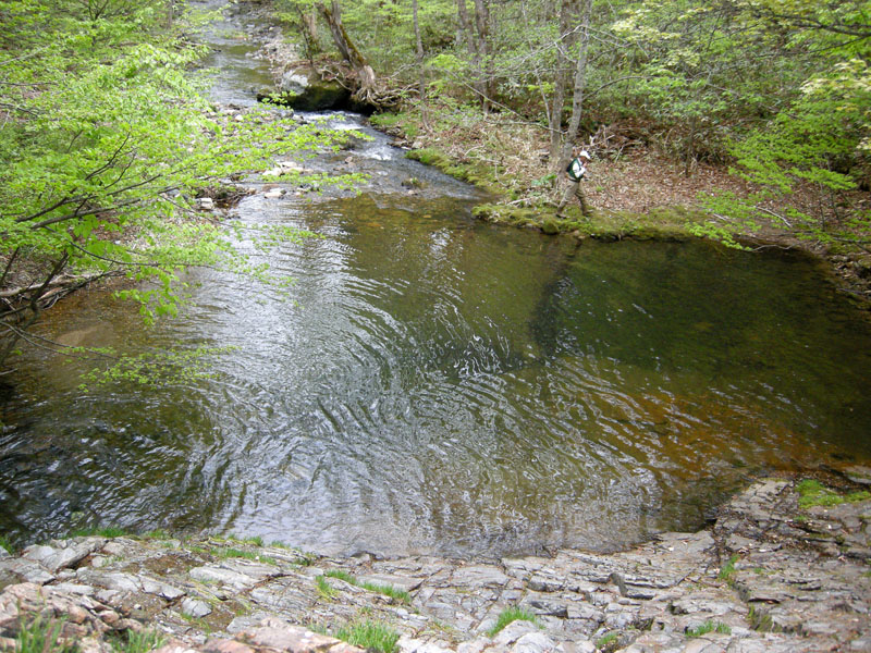 c0077847_2064992.jpg
