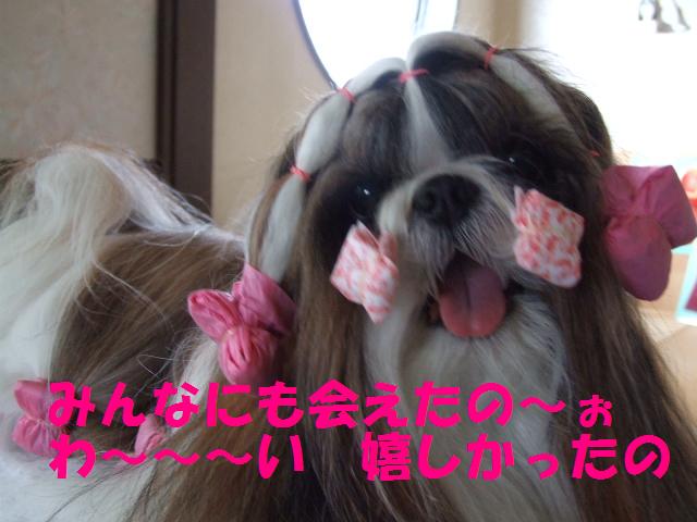 a0091448_2253895.jpg