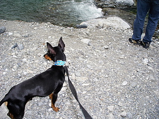 c0123149_14122210.jpg