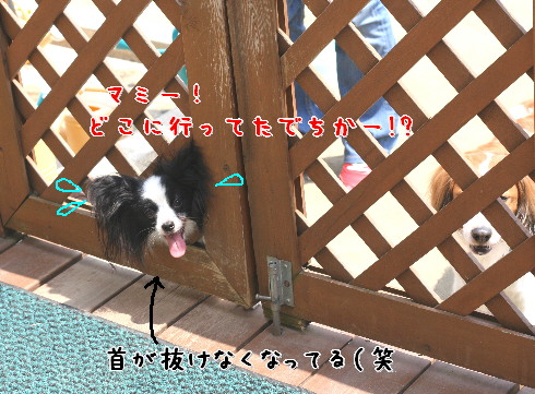 d0013149_0455555.jpg