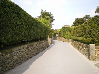 c0134850_22098.jpg