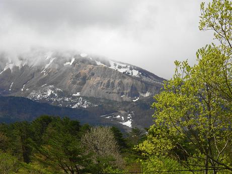 c0145250_1248558.jpg