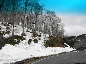 c0145250_13184133.jpg