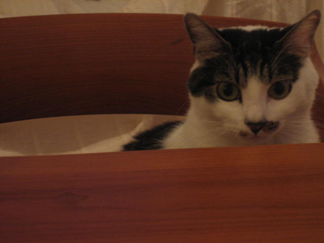 f0076952_8283351.jpg