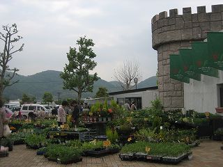 d0031853_4133216.jpg