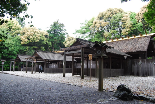 f0151254_9201622.jpg