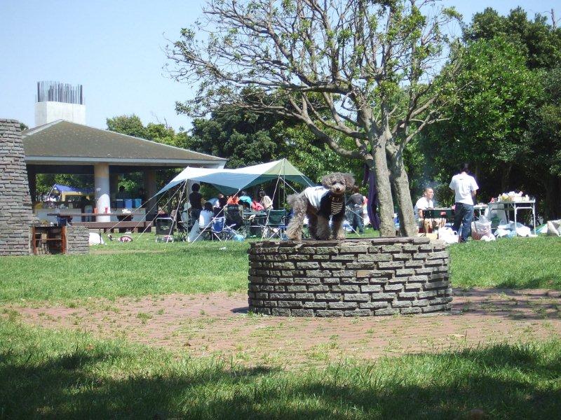 e0129656_22253710.jpg