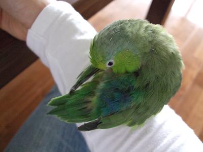 f0149057_12161448.jpg