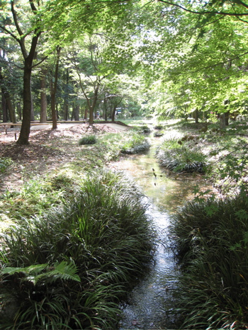 c0153259_21341426.jpg