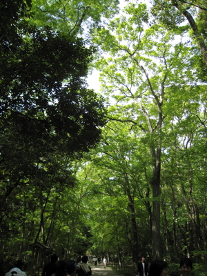 c0153259_21343424.jpg