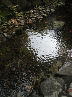 c0153259_213562.jpg