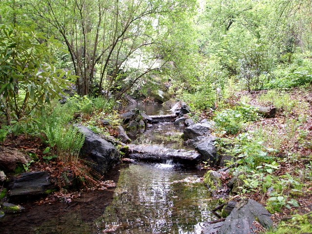 d0107660_3275068.jpg
