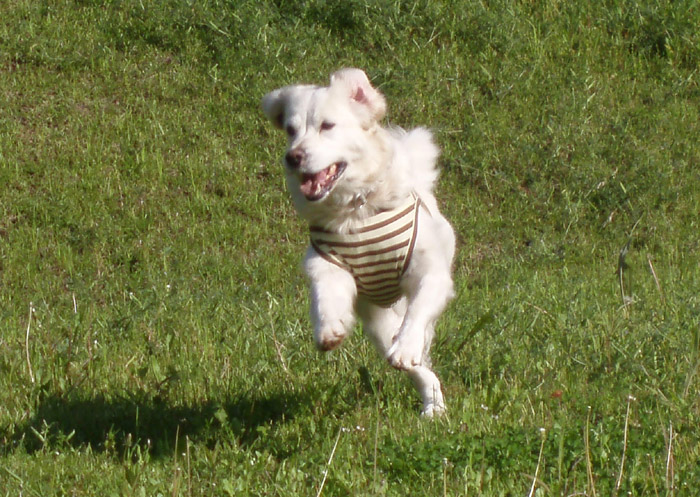 c0110361_12553080.jpg