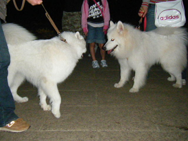e0129661_022771.jpg