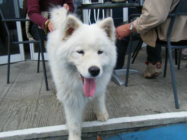 e0129661_075999.jpg