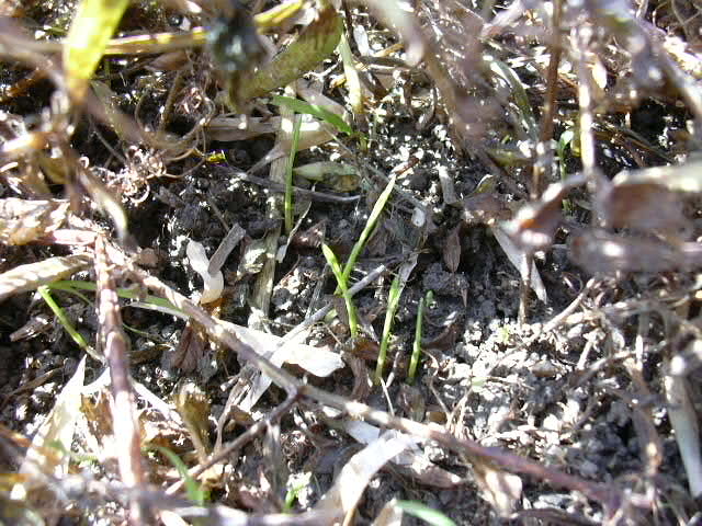 b0139862_2392244.jpg