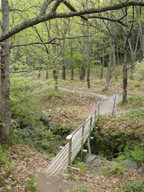a0063364_22372437.jpg