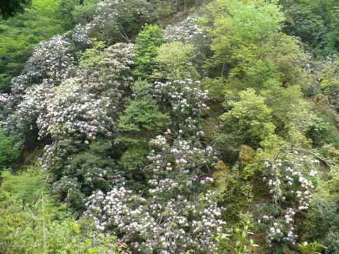 a0063364_2325847.jpg