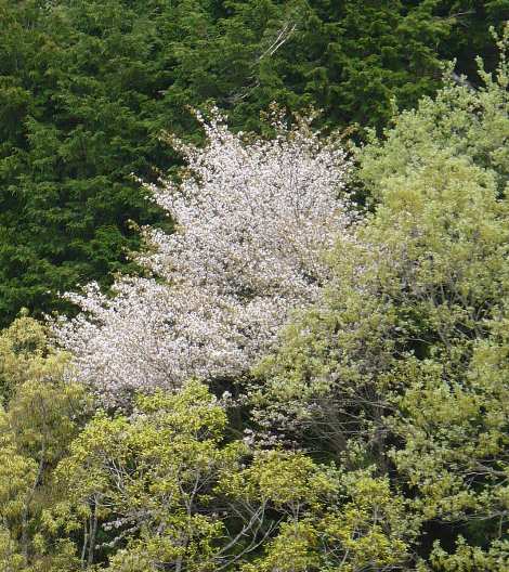 a0063364_2394641.jpg