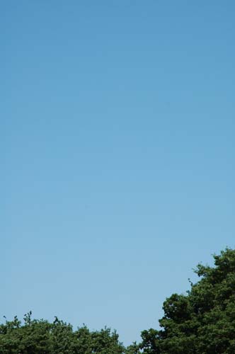 b0134364_11343277.jpg