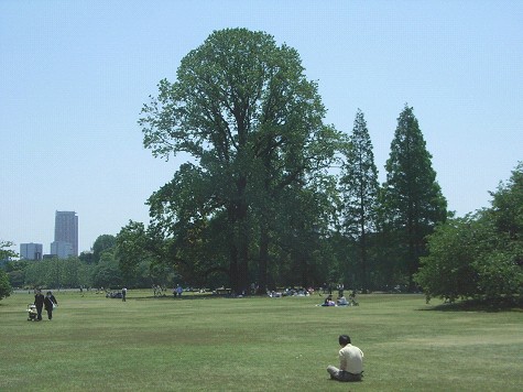 c0158464_1958789.jpg