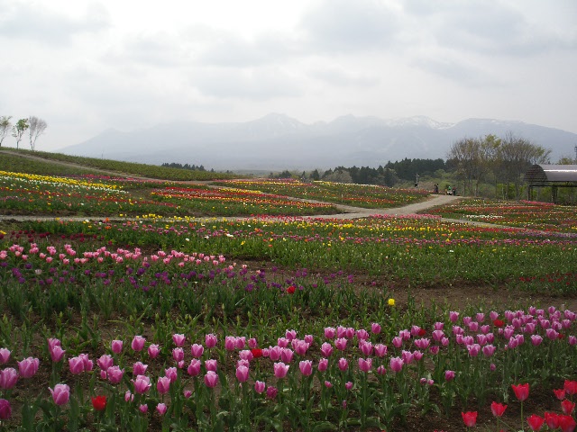 f0042665_015952.jpg