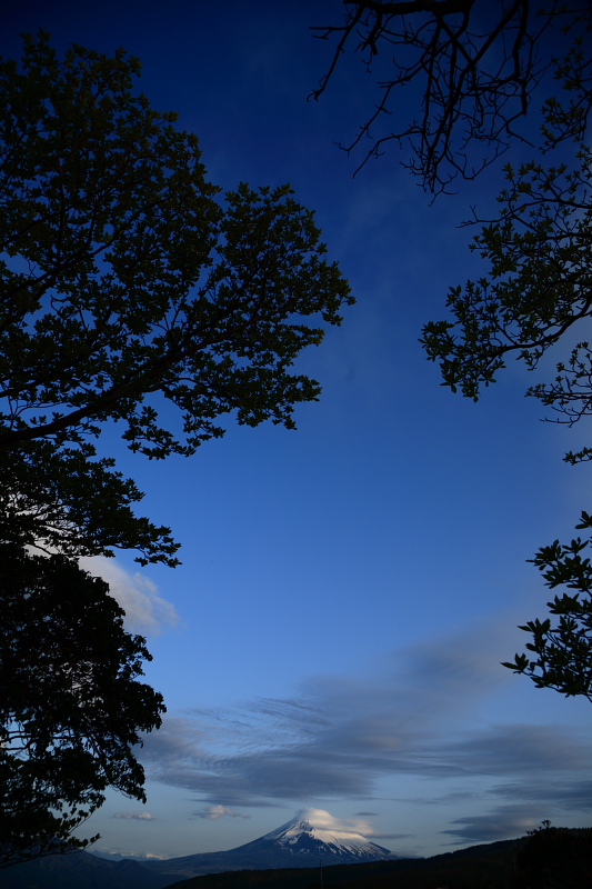 b0027267_13415212.jpg