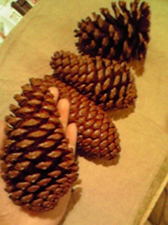 c0144868_19544127.jpg