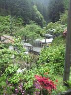 d0061968_19545174.jpg