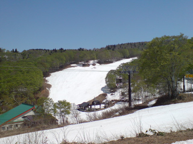 b0085469_18445276.jpg