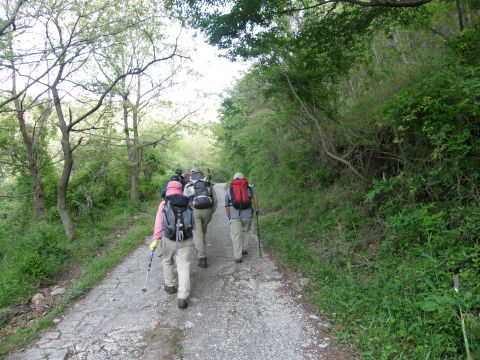 c0042869_19384148.jpg